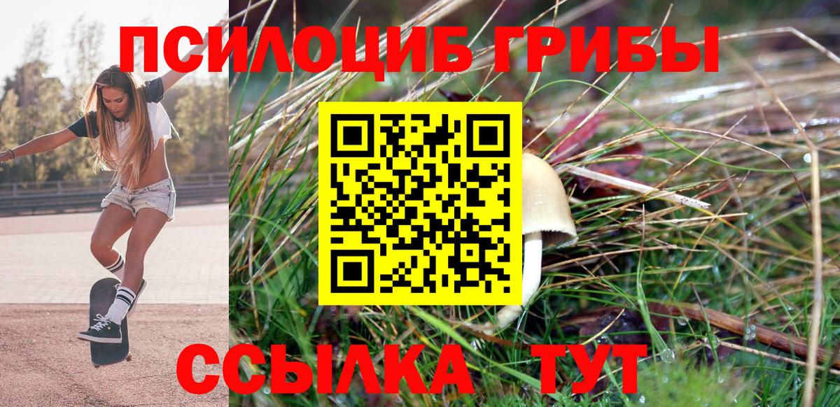 Псилоцибиновые грибы мухоморы  Псилоцибиновые грибы MAGIC MUSHROOMS  Феодосия  Вход с VPN 